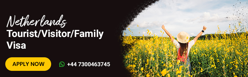 Netherlands appointment from Manchester