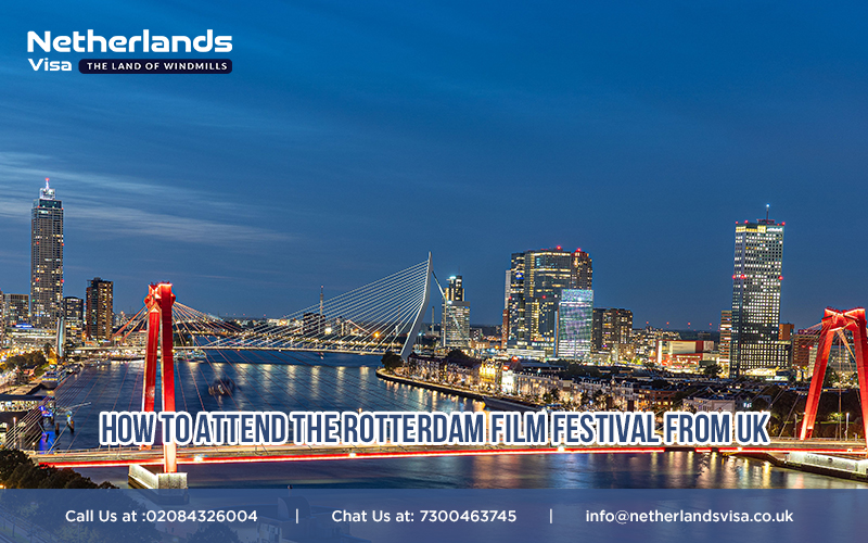 How to attend the Rotterdam Film Festival. International Film Festival Rotterdam